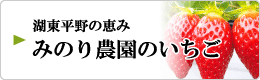 湖東平野の恵み みのり農園のいちご