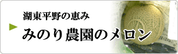 湖東平野の恵み みのり農園のメロン