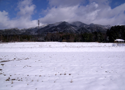 高地栽培